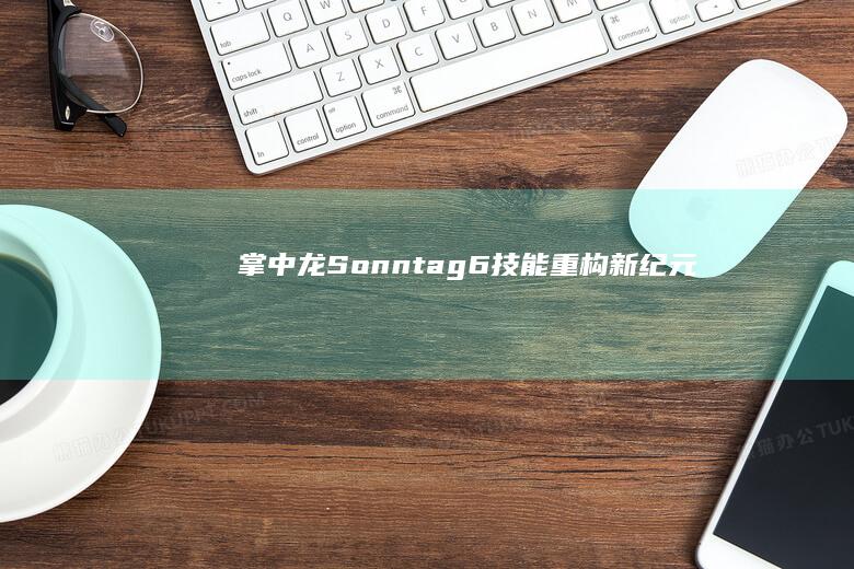 掌中龙 Sonntag 6： 技能重构新纪元